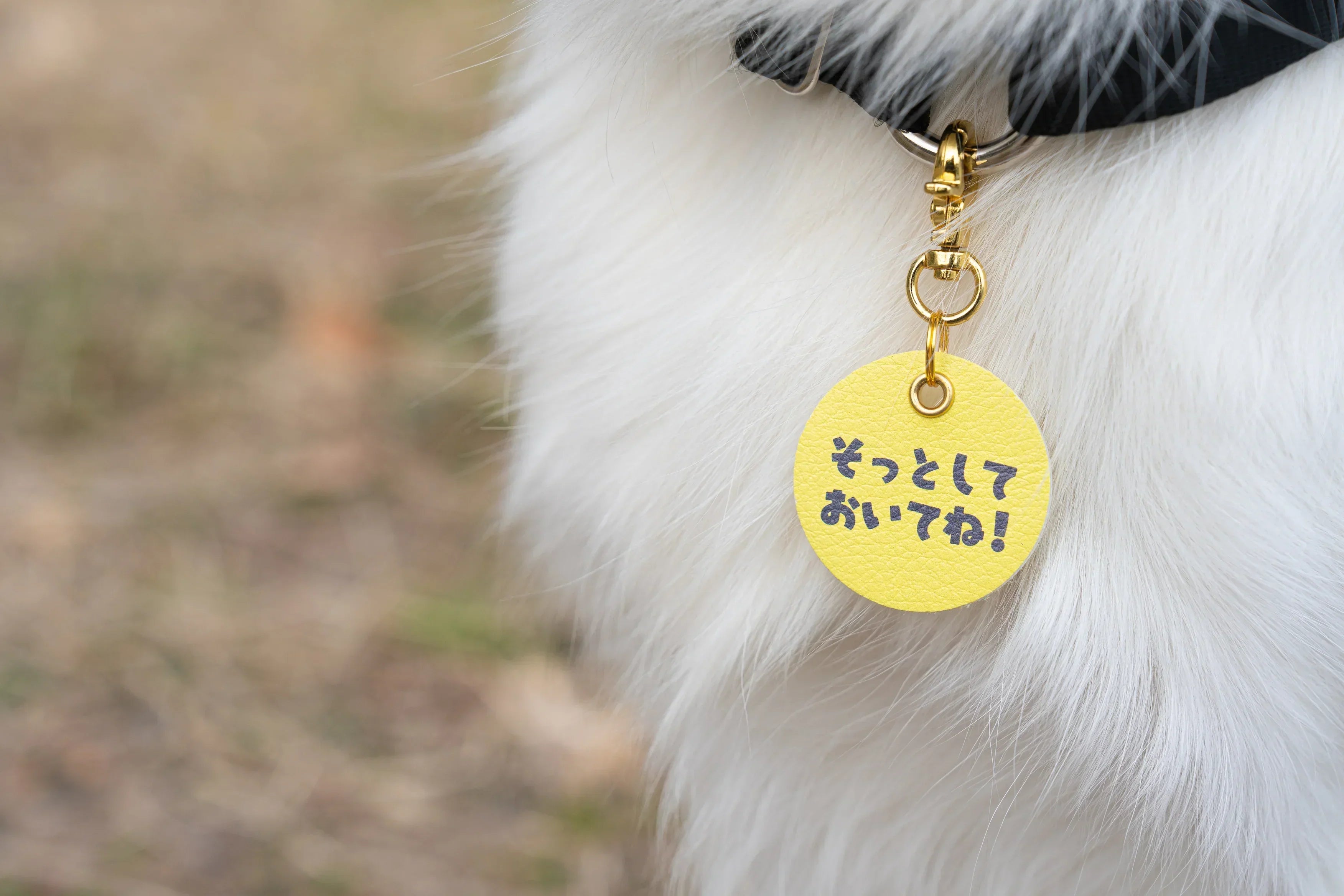 イエローリボン代替の新色イエローカラー登場 | DOGGY'sQR