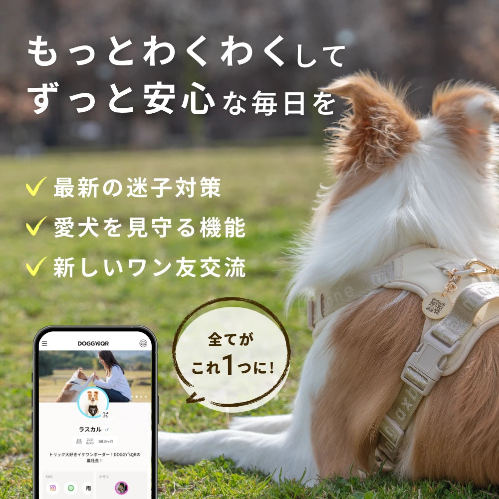 真鍮キーホルダー | QRコード付き犬用迷子札 | アプリ連携