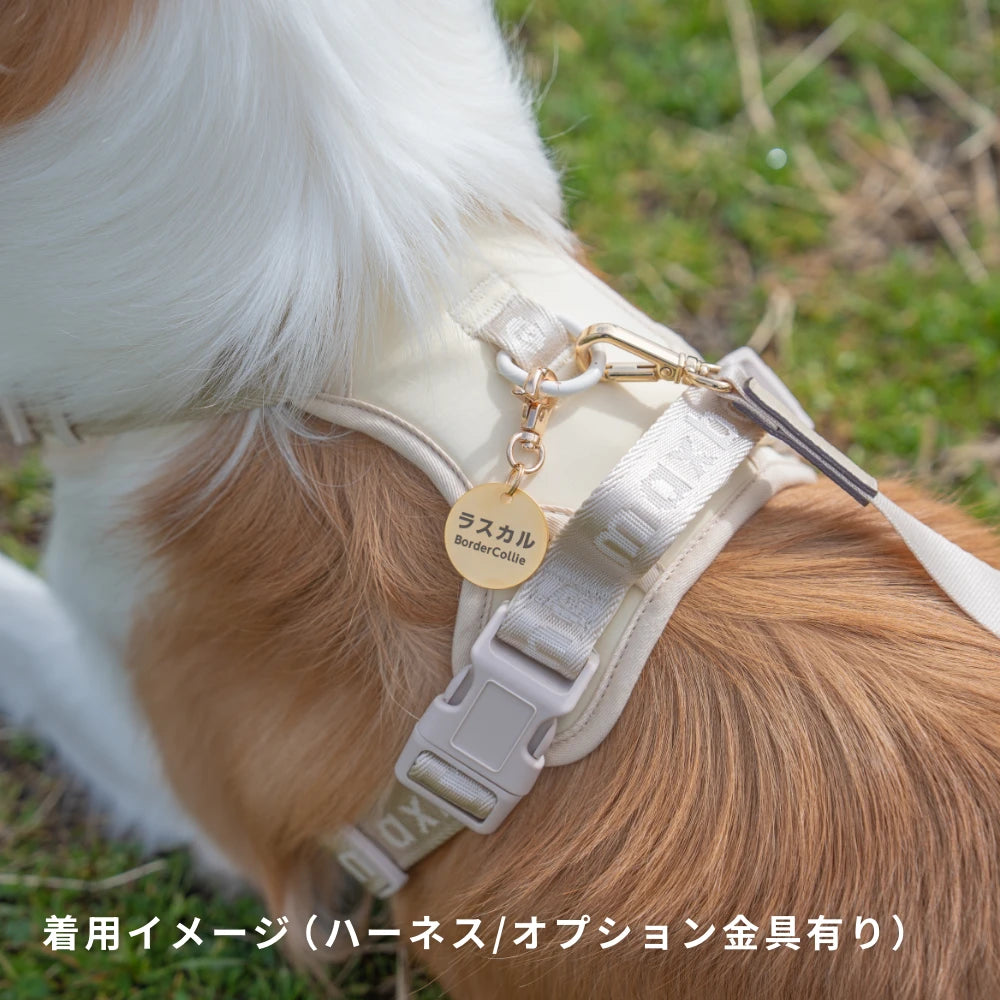 真鍮キーホルダー | QRコード付き犬用迷子札 | アプリ連携
