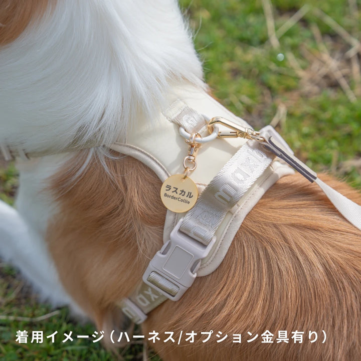 真鍮キーホルダー | QRコード付き犬用迷子札 | アプリ連携