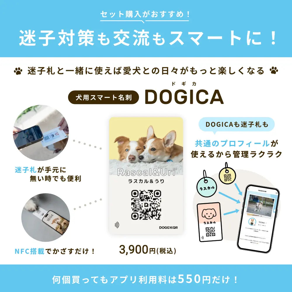 真鍮キーホルダー | QRコード付き犬用迷子札 | アプリ連携