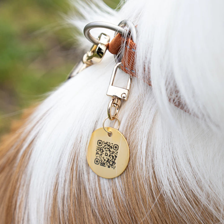 真鍮キーホルダー | QRコード付き犬用迷子札 | アプリ連携