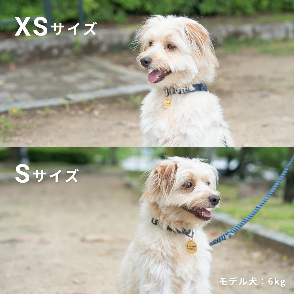 真鍮キーホルダー | QRコード付き犬用迷子札 | アプリ連携