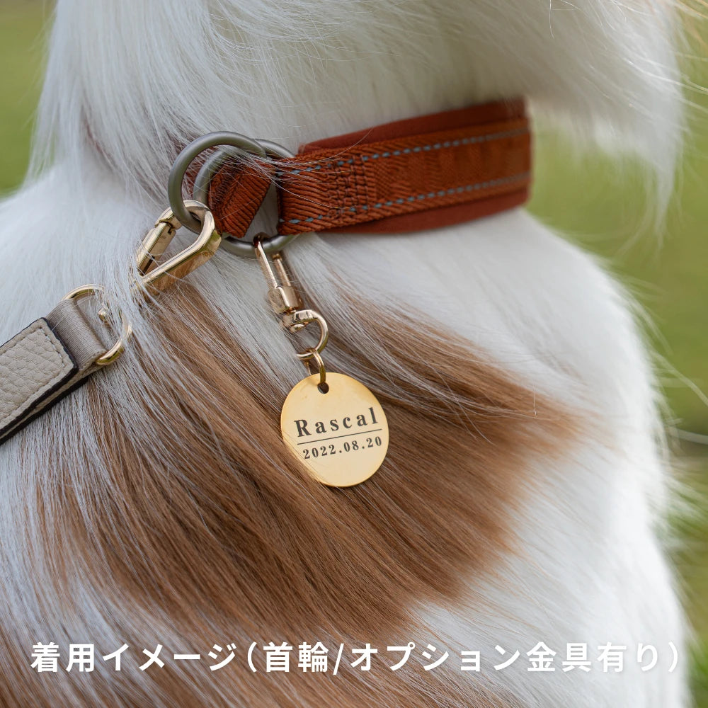 真鍮キーホルダー | QRコード付き犬用迷子札 | アプリ連携