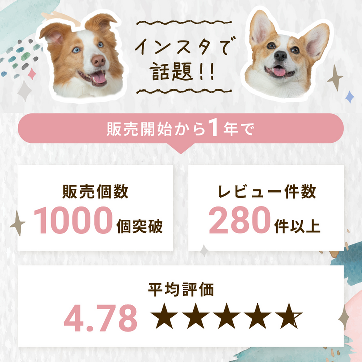 真鍮キーホルダー | QRコード付き犬用迷子札 | アプリ連携