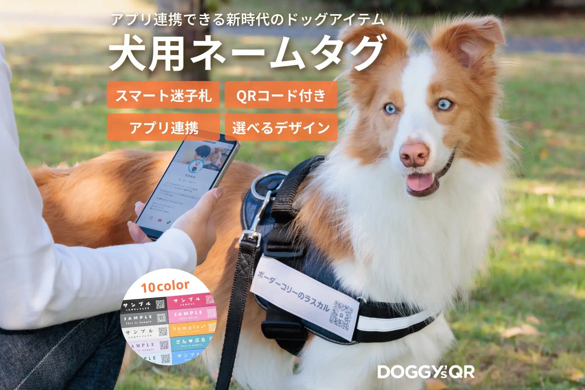 DOGGY'sQR発売開始｜QRコード付き犬用ネームタグで愛犬との絆を深める