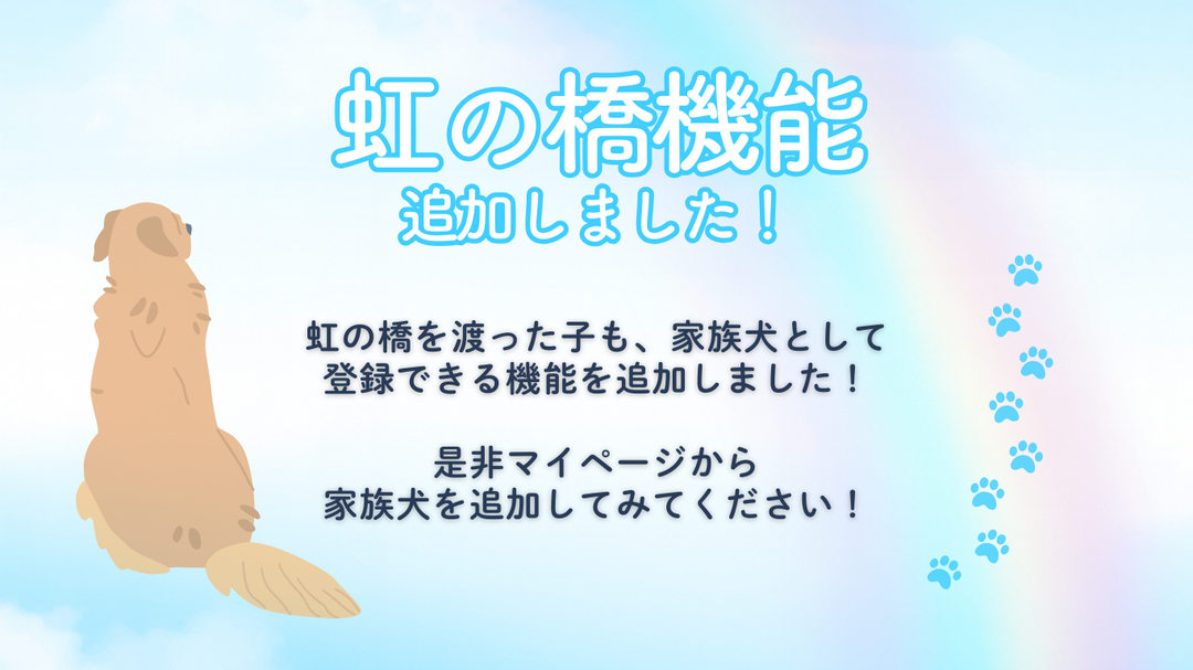 虹の橋機能追加のお知らせ🌈