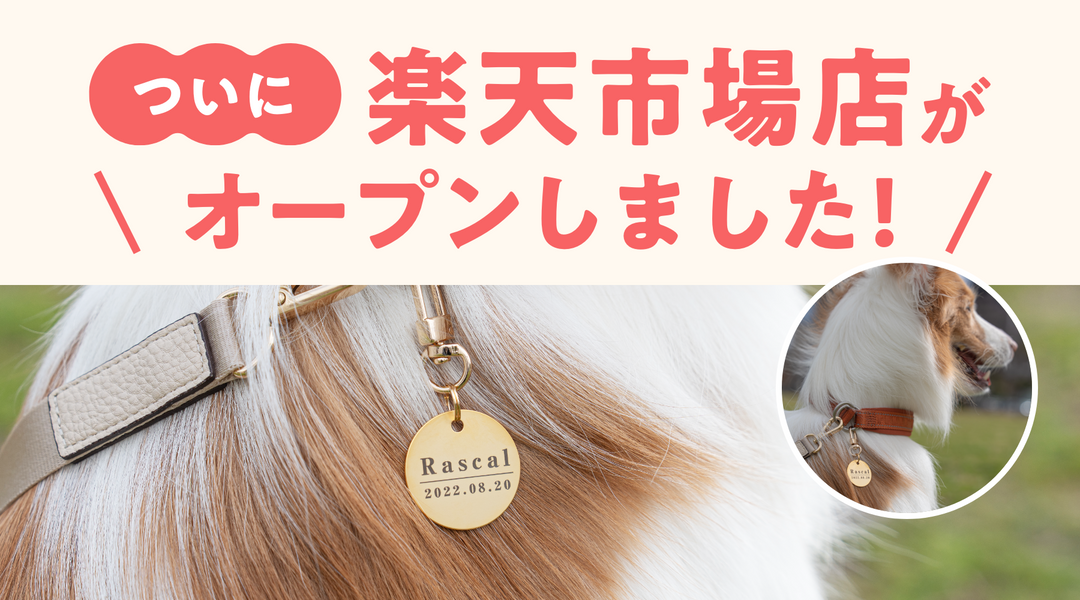 楽天市場店がオープンしました！