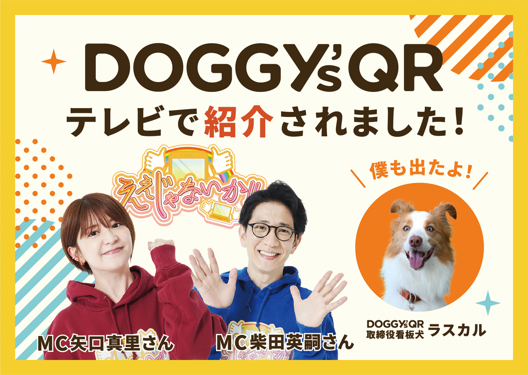 DOGGY'sQRがテレビで紹介されました！動物好きアンタッチャブル柴田さんのリアクションはいかに！？