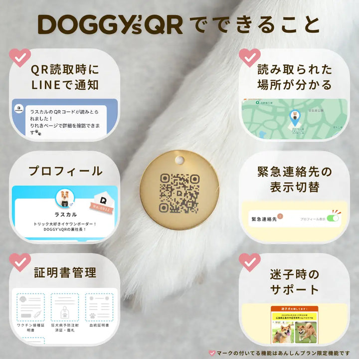 真鍮キーホルダー | QRコード付き犬用迷子札 | アプリ連携