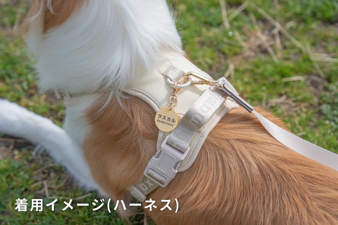 真鍮キーホルダー | QRコード付き犬用迷子札 | アプリ連携