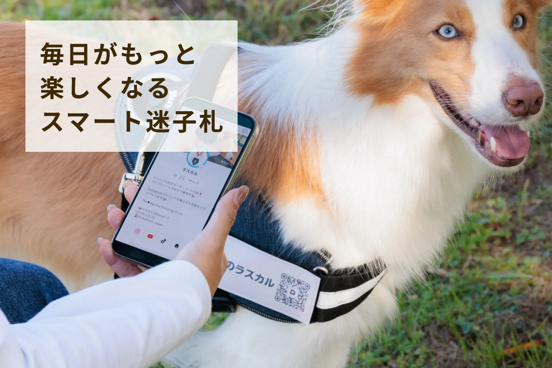 迷子札 | PUレザーマジックタグ【アプリ連携できるQRコード付き犬用 迷子札 | PUレザーマジックタグ【アプリ連携できるQRコード付き犬用