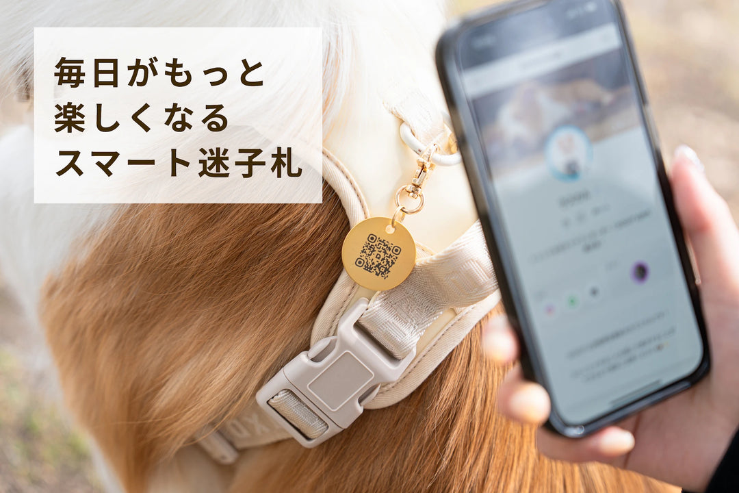 真鍮キーホルダー | QRコード付き犬用迷子札 | アプリ連携