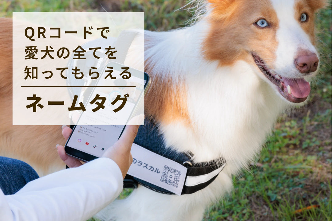 PUレザーマジックタグ【アプリ連携できるQRコード付き犬用ネームタグ | 迷子札にも】