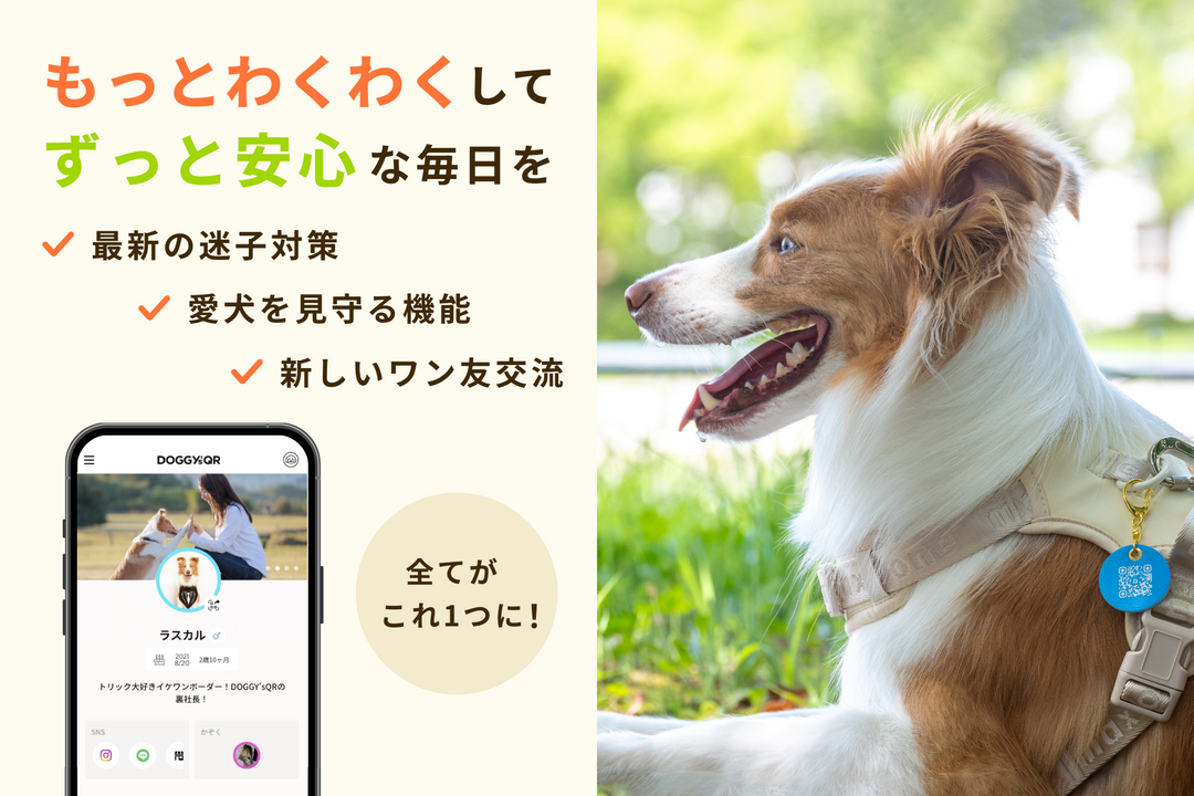 PUレザーキーホルダー【アプリ連携できるQRコード付き犬用ネームタグ | 迷子札にも】