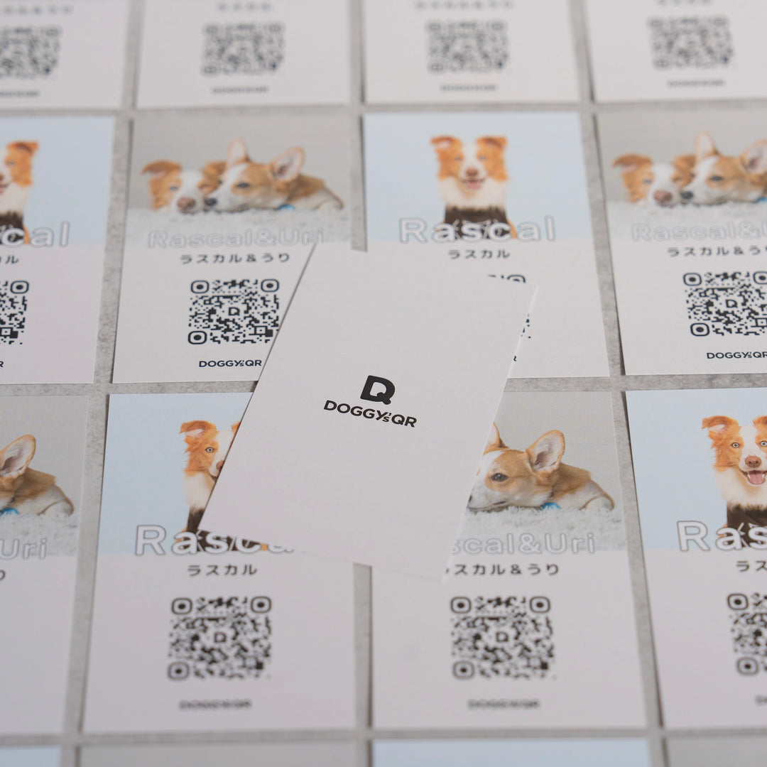 DOGICA紙タイプ【QRコード】