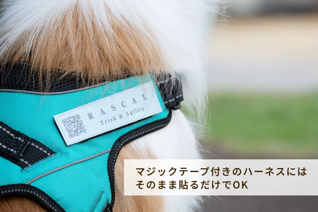 PUレザーマジックタグ【アプリ連携できるQRコード付き犬用ネームタグ | 迷子札にも】