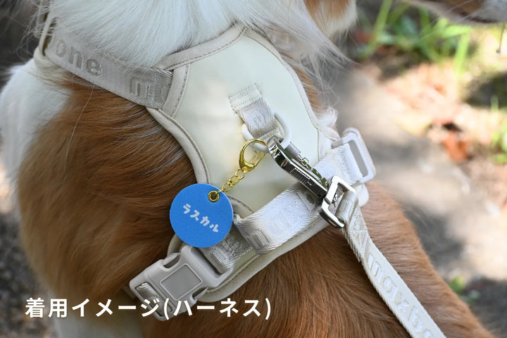 PUレザーキーホルダー【アプリ連携できるQRコード付き犬用ネームタグ | 迷子札にも】