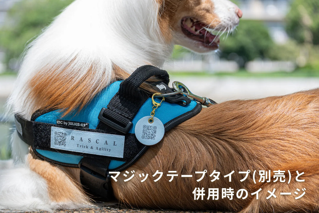 PUレザーキーホルダー【アプリ連携できるQRコード付き犬用ネームタグ | 迷子札にも】