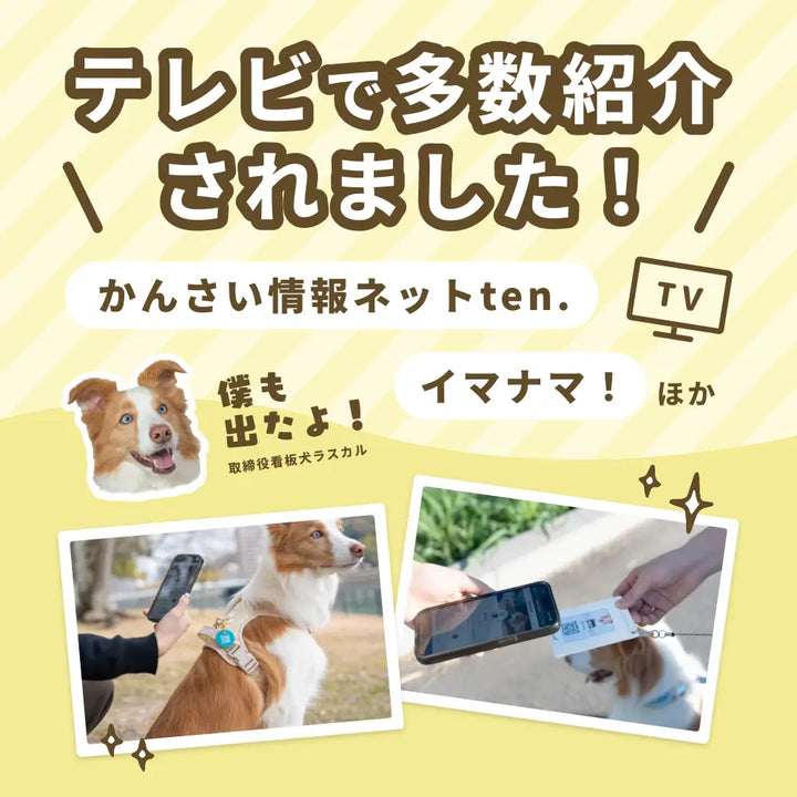 PUレザーキーホルダー【アプリ連携できるQRコード付き犬用ネームタグ | 迷子札にも】