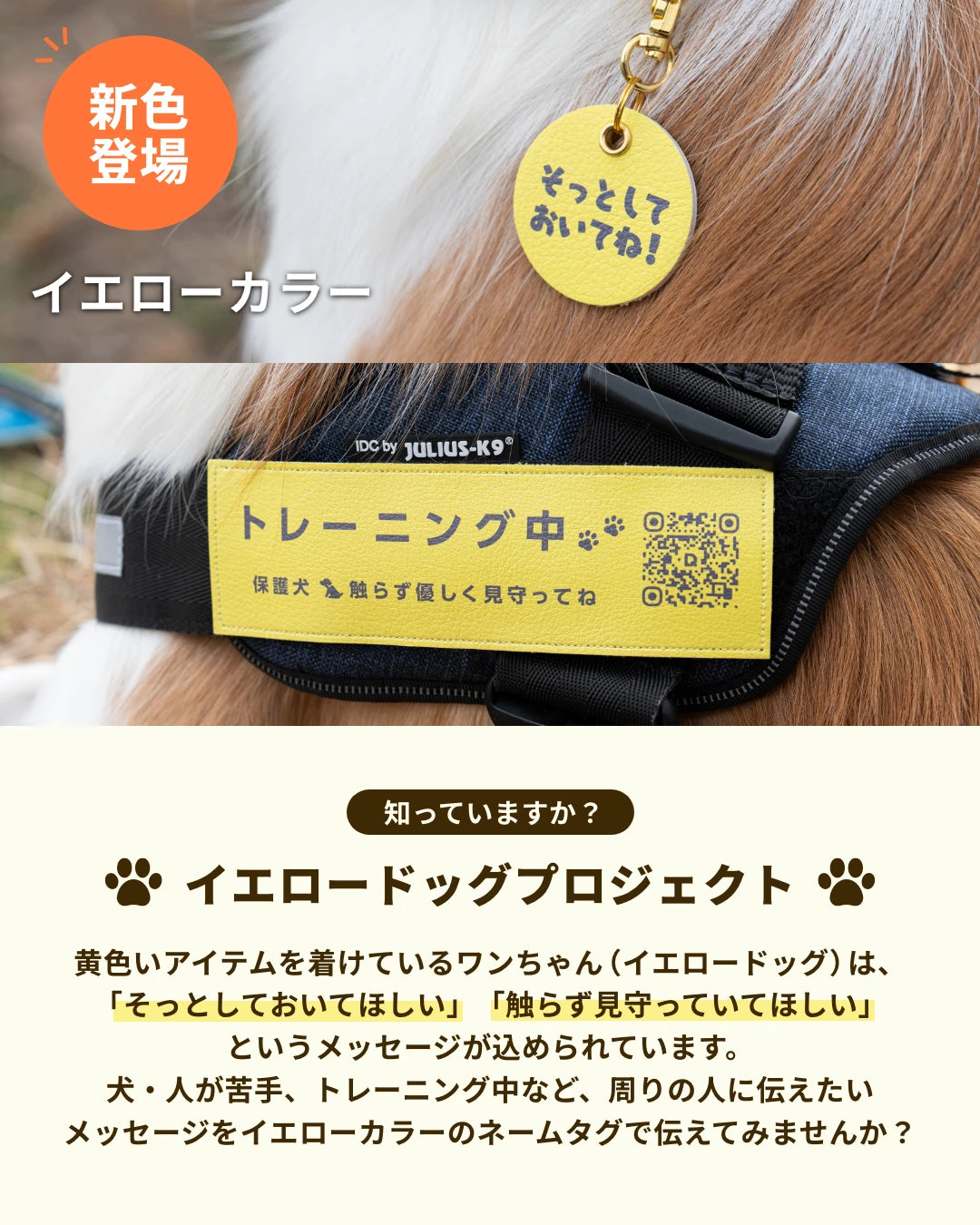 PUレザーキーホルダー【アプリ連携できるQRコード付き犬用ネームタグ | 迷子札にも】