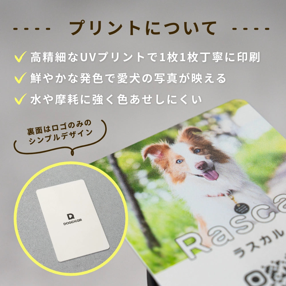 犬のスマート名刺DOGICA(ドギカ)【NFC&QRコード】