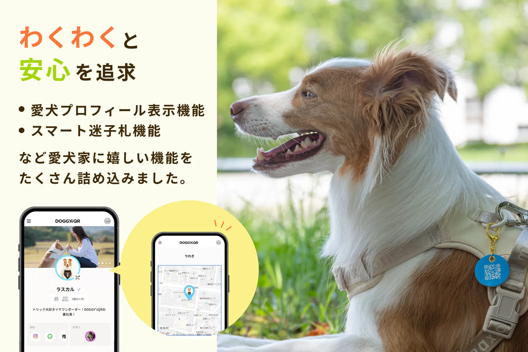 PUレザーキーホルダー【アプリ連携できるQRコード付き犬用ネームタグ | 迷子札にも】