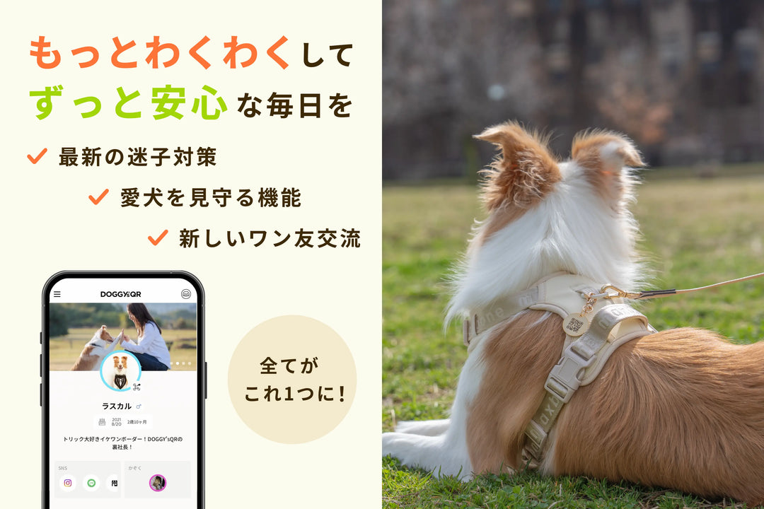 真鍮キーホルダー | QRコード付き犬用迷子札 | アプリ連携