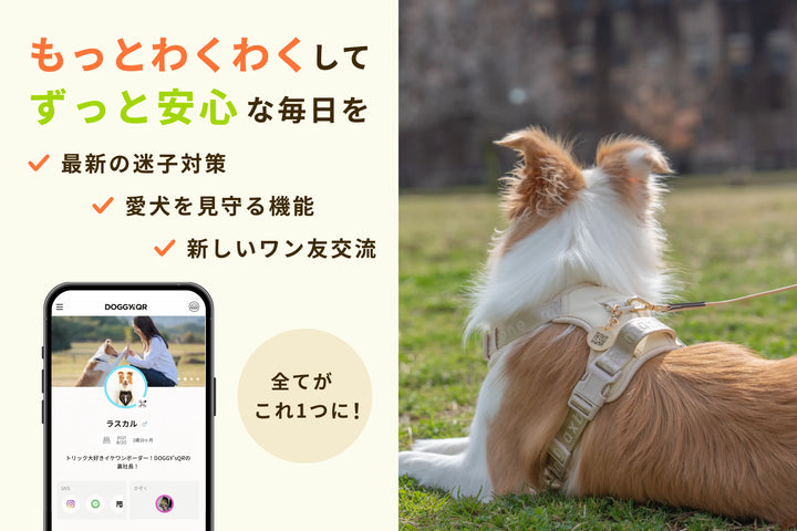 真鍮キーホルダー | QRコード付き犬用迷子札 | アプリ連携