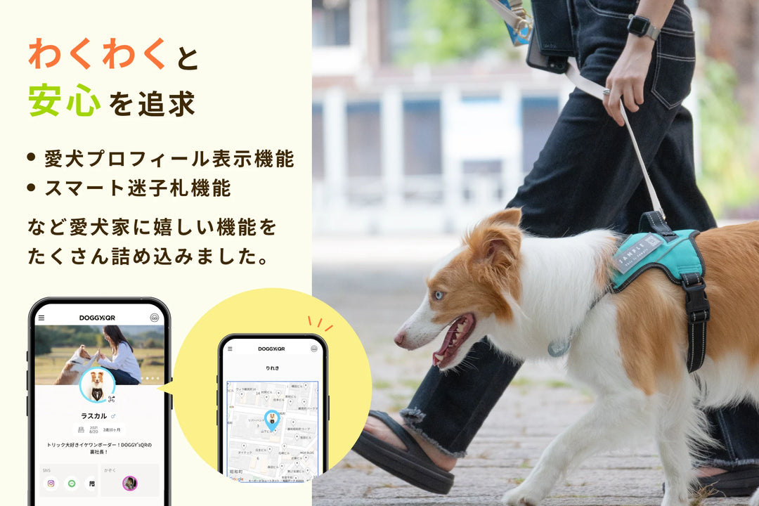 PUレザーマジックタグ【アプリ連携できるQRコード付き犬用ネームタグ | 迷子札にも】