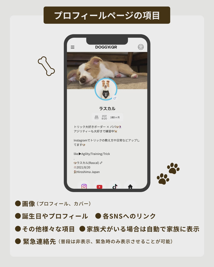 DQマジックタグ【アプリ連携できるQRコード付き犬用ネームタグ】